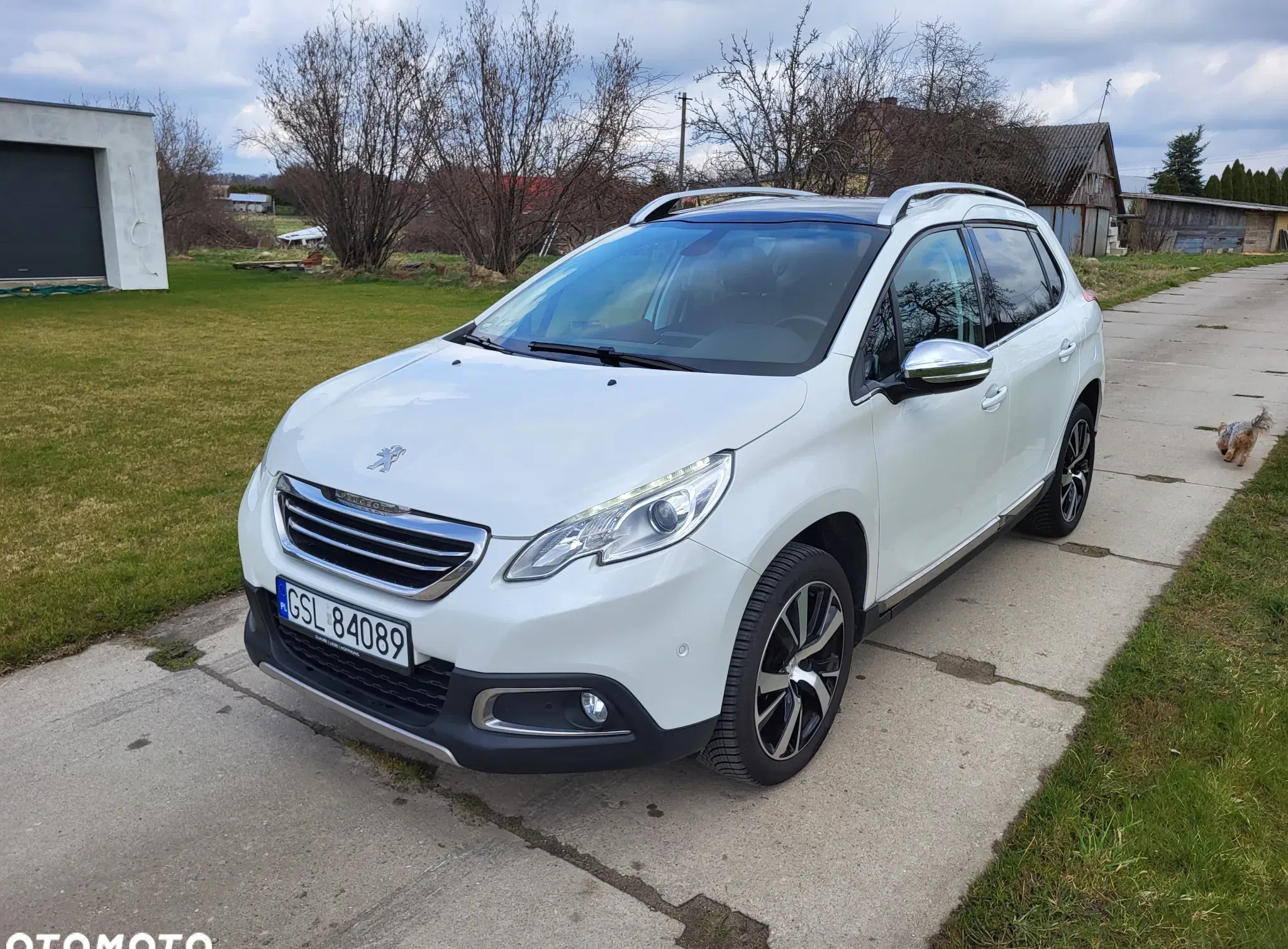 peugeot 2008 Peugeot 2008 cena 42700 przebieg: 113530, rok produkcji 2014 z Słupsk